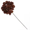 Brown Hydrangea Flower Stem New