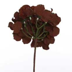Brown Hydrangea Flower Stem New