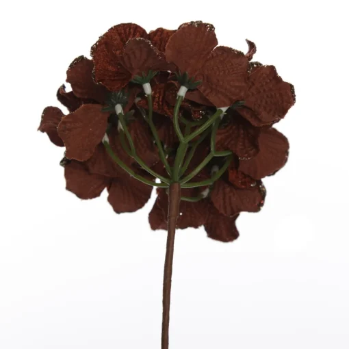 Brown Hydrangea Flower Stem New