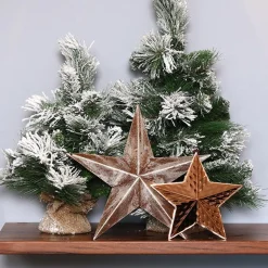 Brushed Silver Tin Star Online