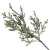 Cedar Branch Spray Fashion