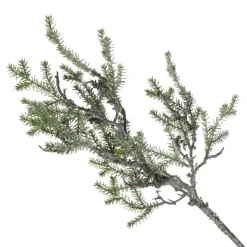 Cedar Branch Spray Fashion