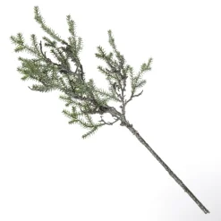 Cedar Branch Spray Fashion