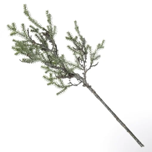 Cedar Branch Spray Fashion