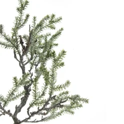 Cedar Branch Spray Fashion