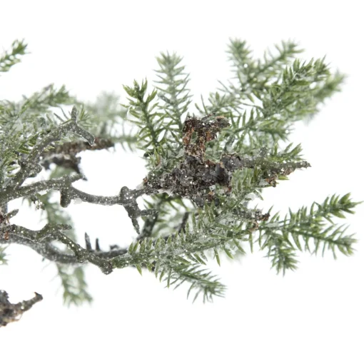 Cedar Branch Spray Fashion