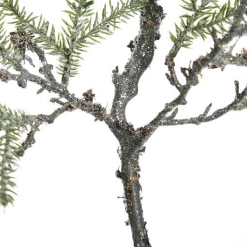 Cedar Branch Spray Fashion