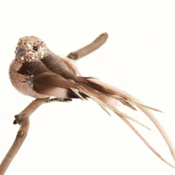 Champagne Pink Bird Clip Best