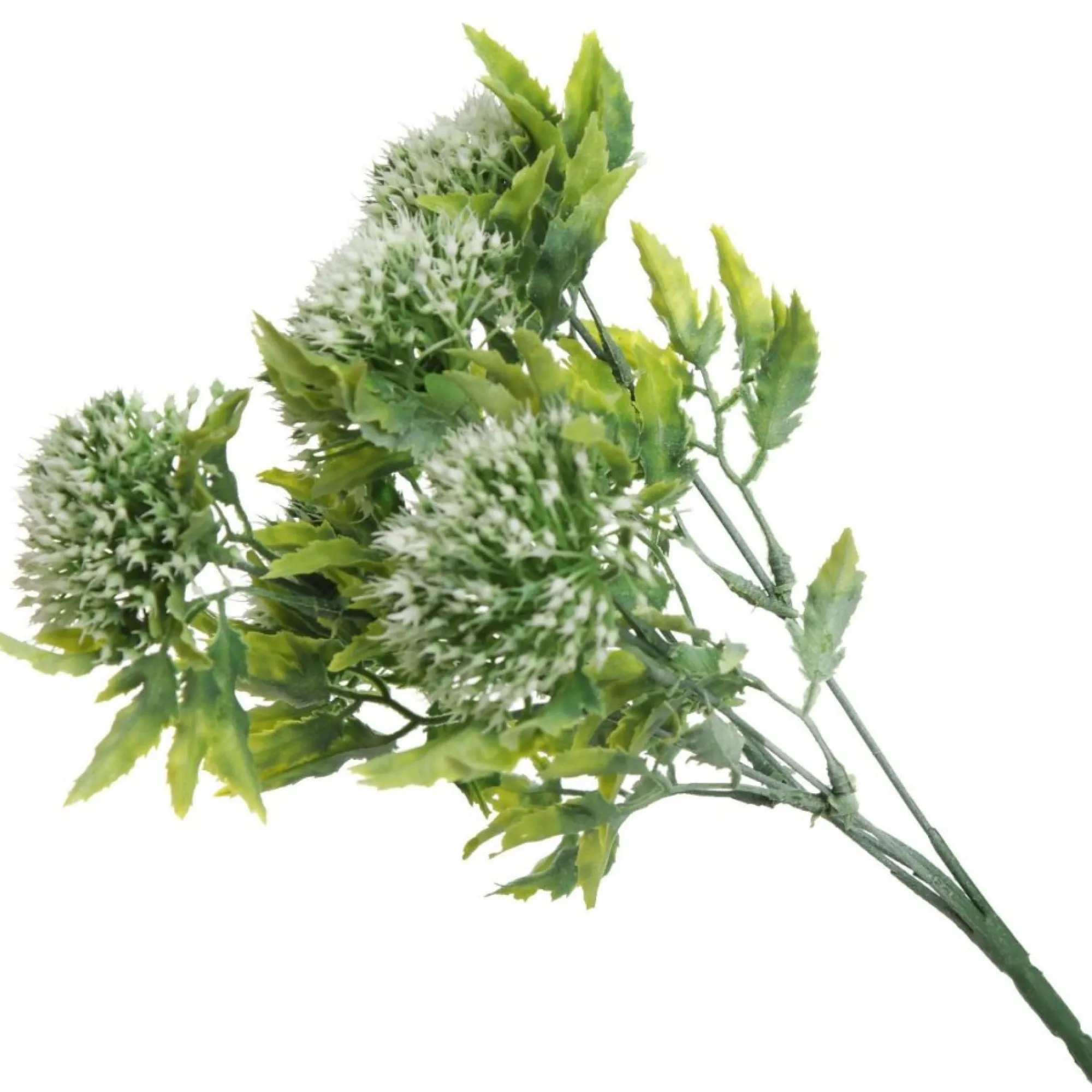 Cream Gumnut Flower Christmas Bush Spray Cheap