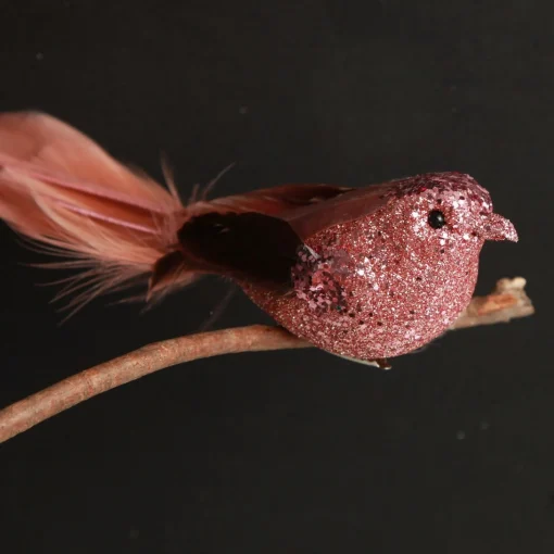 Dark Pink Bird Clip Online
