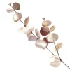 Dusky Pink Round Leaf Eucalyptus Dollar Gum Spray Hot