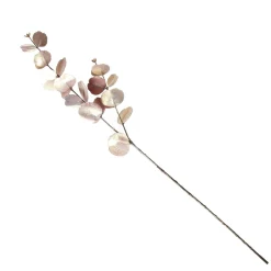 Dusky Pink Round Leaf Eucalyptus Dollar Gum Spray Hot