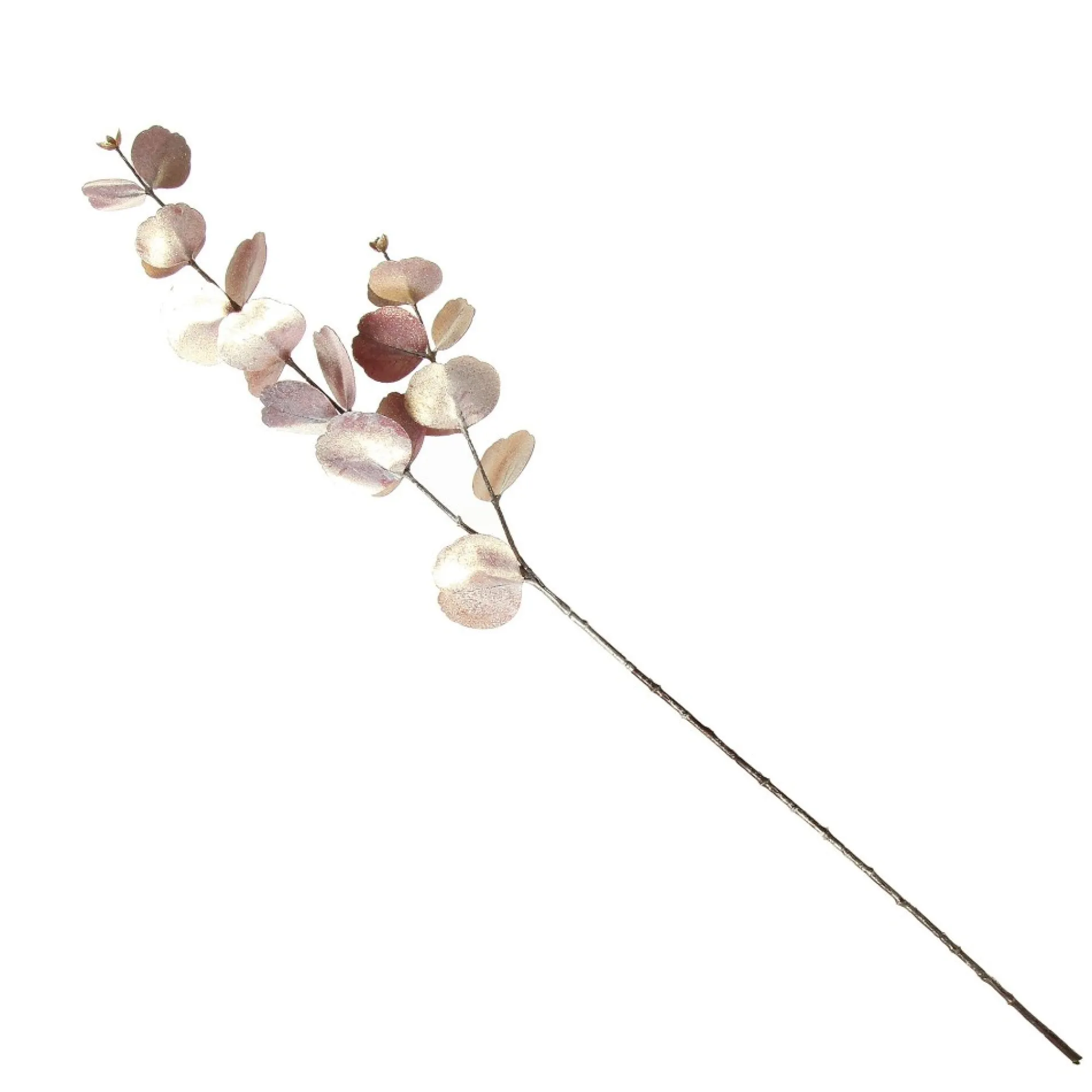 Dusky Pink Round Leaf Eucalyptus Dollar Gum Spray Hot