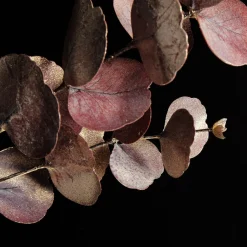Dusky Pink Round Leaf Eucalyptus Dollar Gum Spray Hot