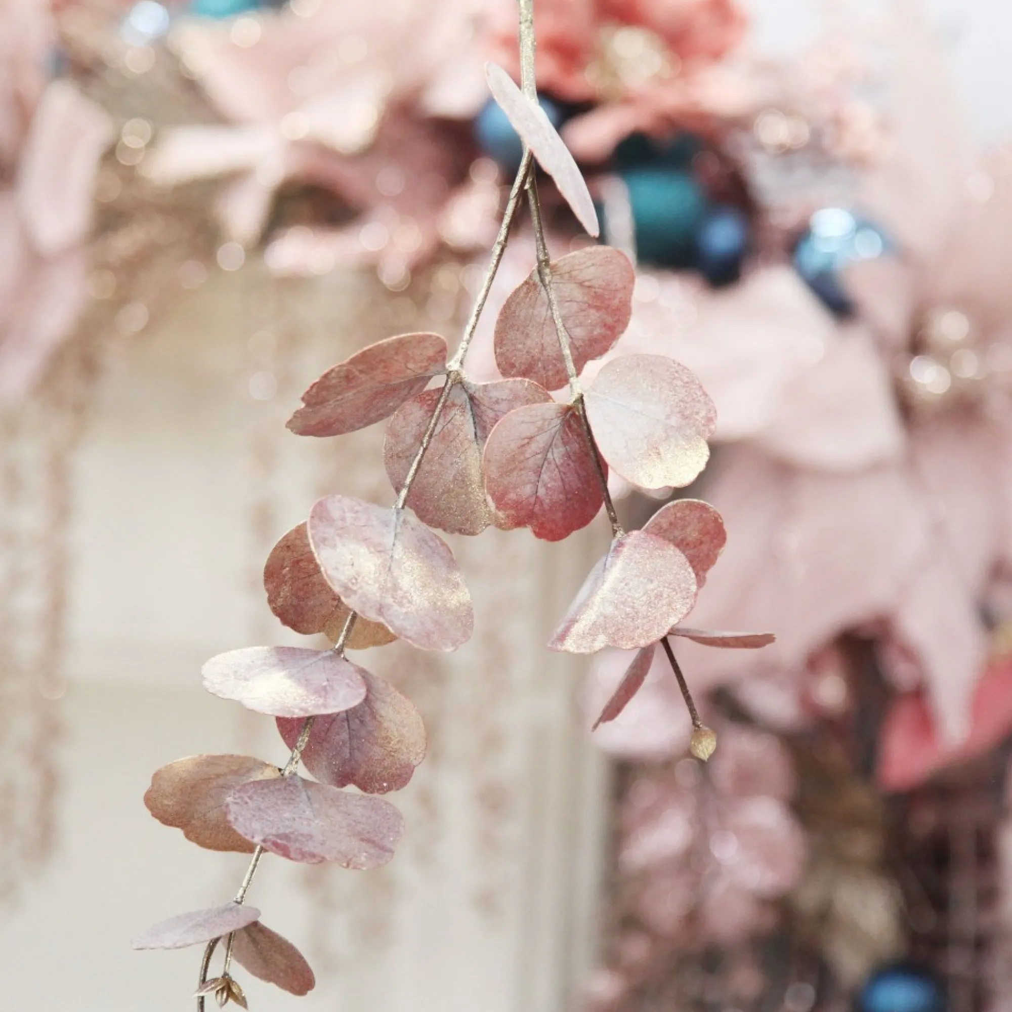 Dusky Pink Round Leaf Eucalyptus Dollar Gum Spray Hot