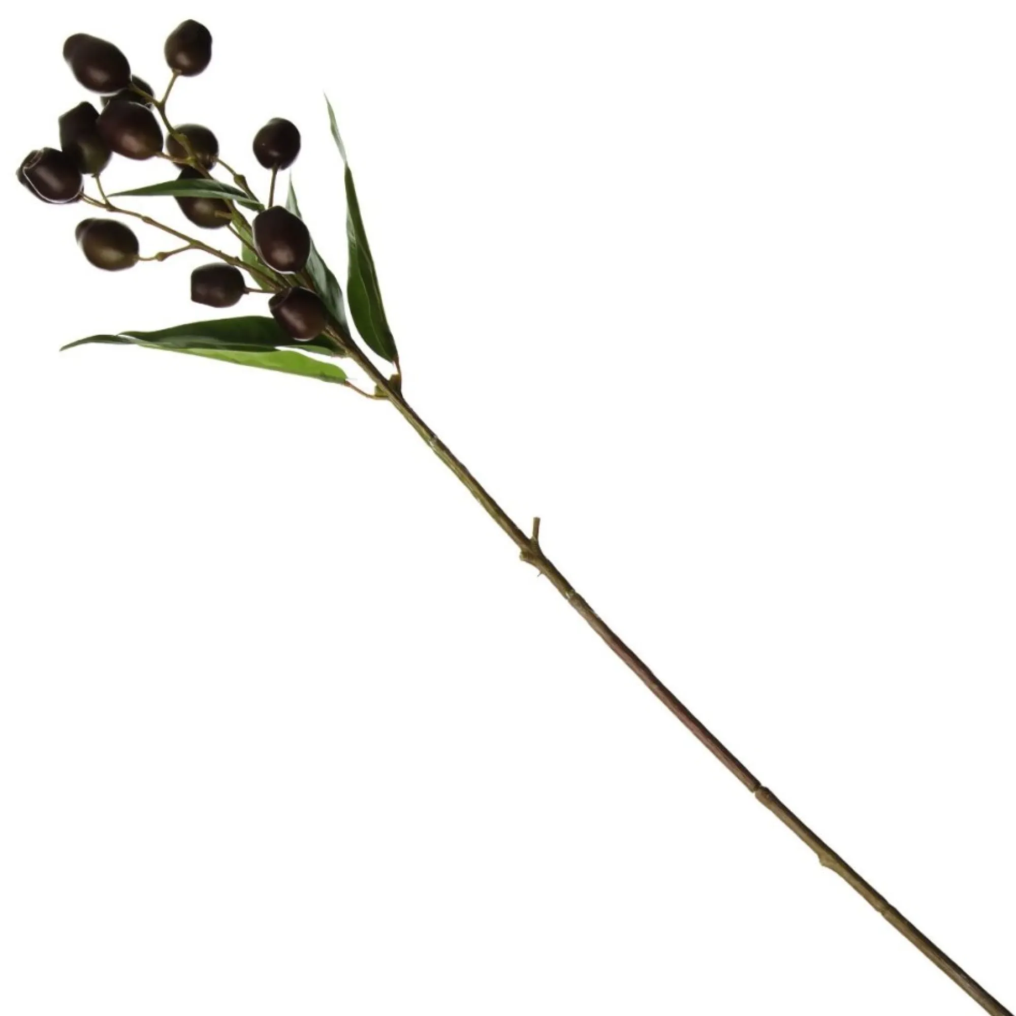 Eucalyptus Brown Gumnut Branch Spray Shop