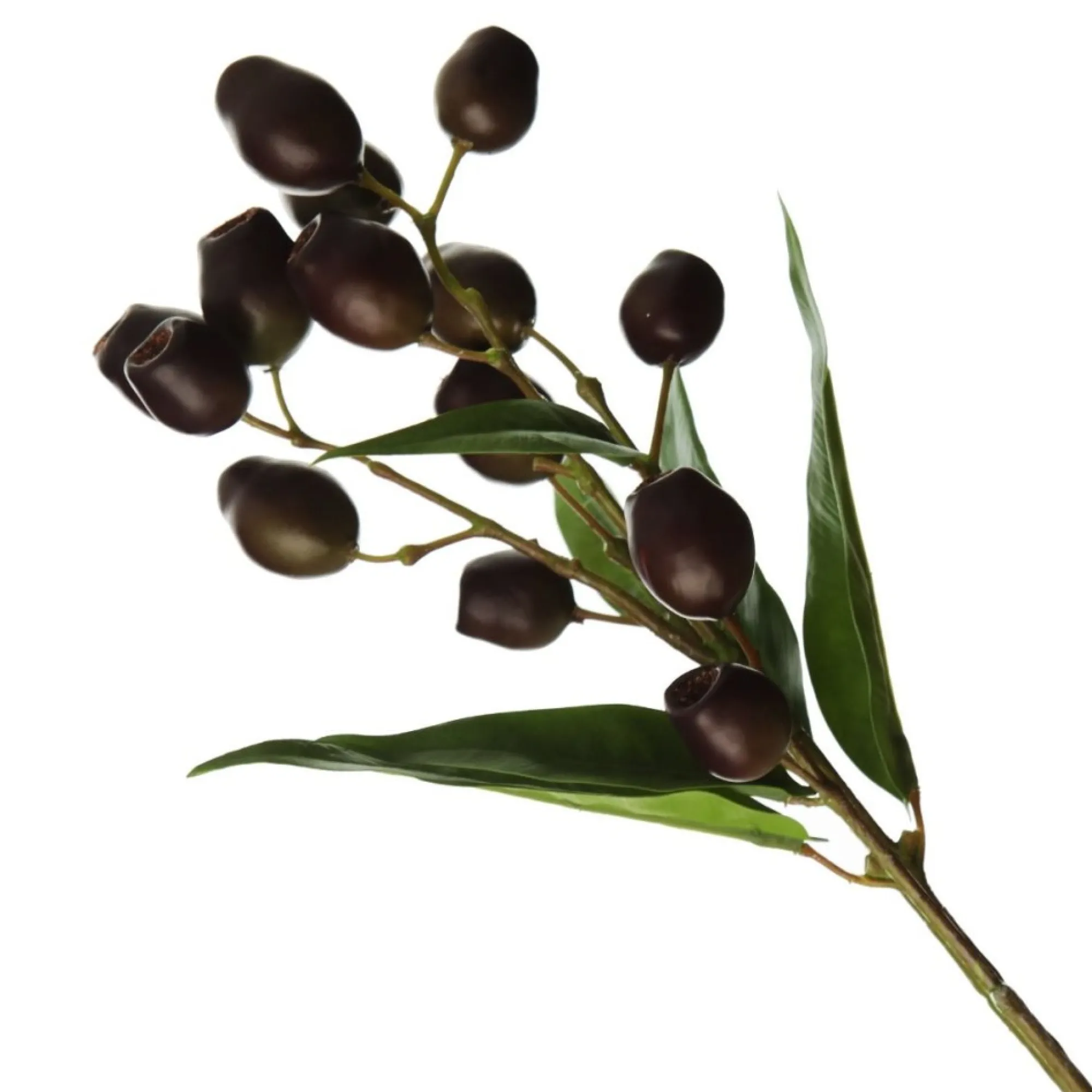 Eucalyptus Brown Gumnut Branch Spray Shop