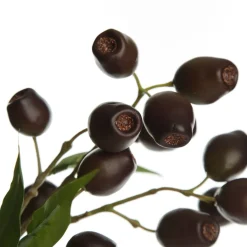 Eucalyptus Brown Gumnut Branch Spray Shop