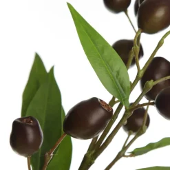 Eucalyptus Brown Gumnut Branch Spray Shop