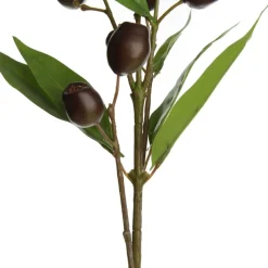 Eucalyptus Brown Gumnut Branch Spray Shop