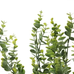 Eucalyptus Bush Spray Clearance