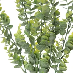 Eucalyptus Bush Spray Clearance