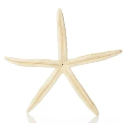 Finger Starfish White Fashion