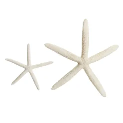 Finger Starfish White Fashion