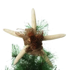 Finger Starfish White Fashion