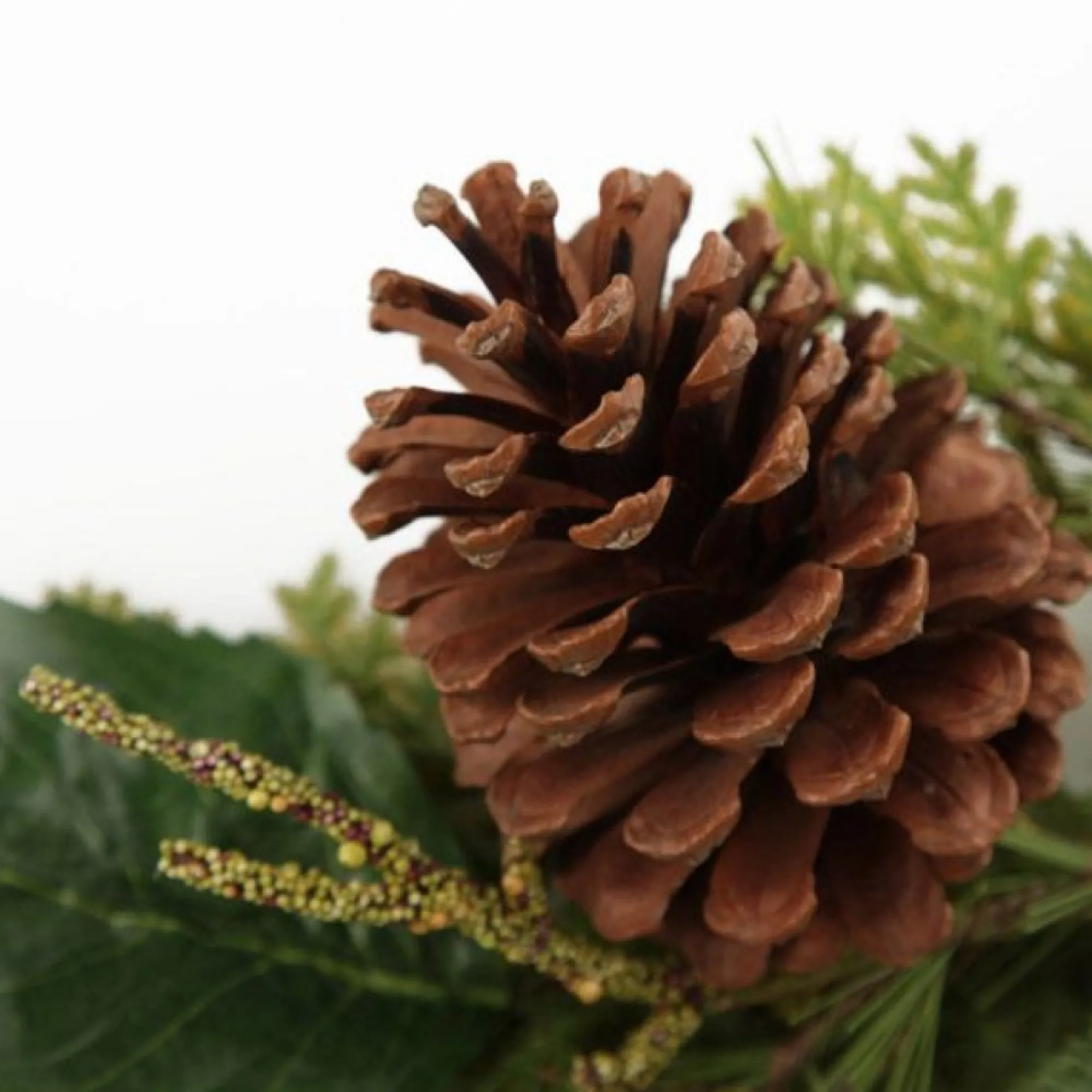 Fresh Floral Hydrangea Spray Online