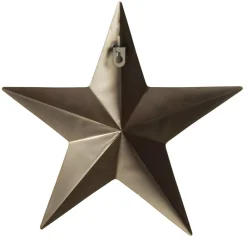 Gold Metal Star Store