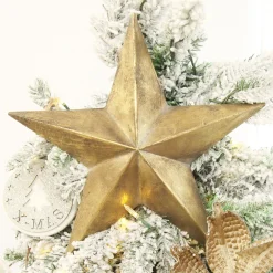 Gold Metal Star Store