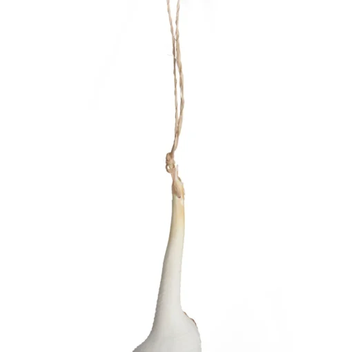 Hanging Conch Shell Tree Decoration Store