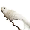 Large Elegant White Bird with Sequins and Feather Tail Flash Sale