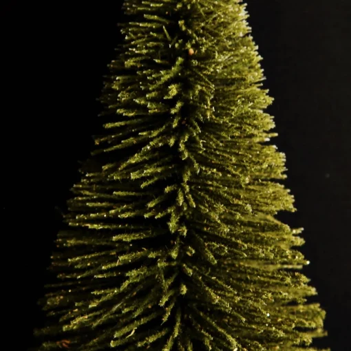 Large Green Bottle Brush Tree Shop