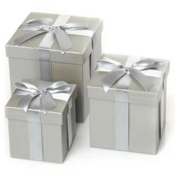 Metallic Silver Gift Box Best
