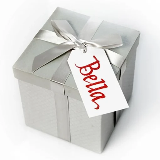 Metallic Silver Gift Box With Personalised Gift Tag Fashion