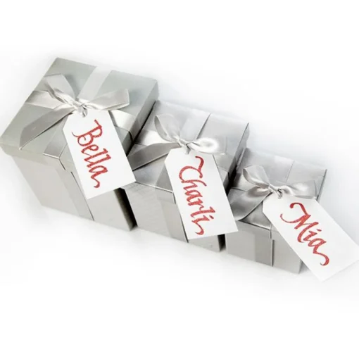 Metallic Silver Gift Box With Personalised Gift Tag Fashion