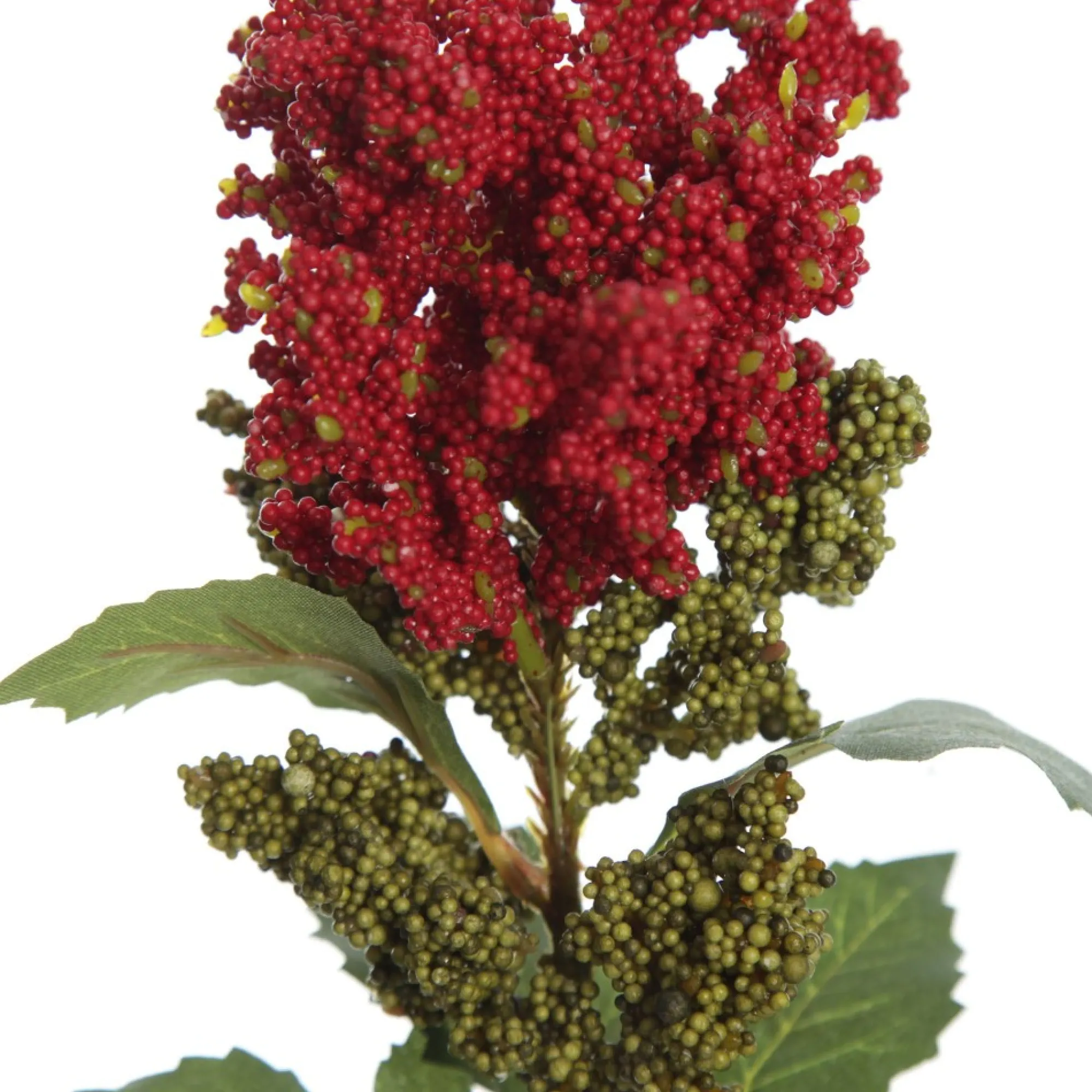 Mini Berry Native Bush Christmas Red Berry Spray Hot