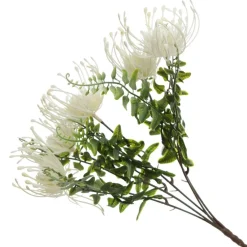Native Cream Pincushion Protea Flower Spray Shop