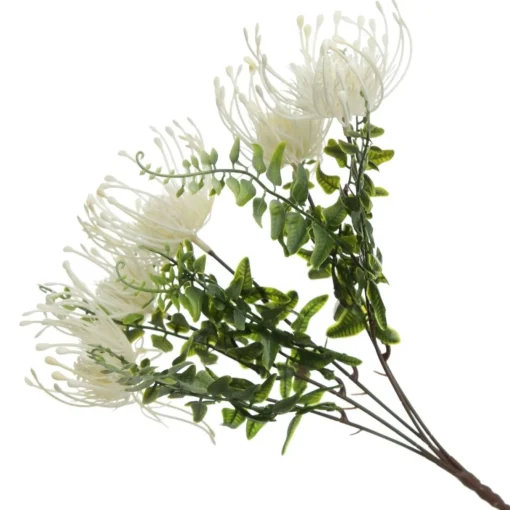 Native Cream Pincushion Protea Flower Spray Shop