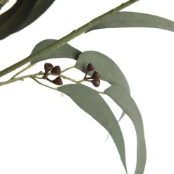 Native Eucalyptus Leaf Spray with Gumnuts New