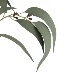 Native Eucalyptus Leaf Spray with Gumnuts New