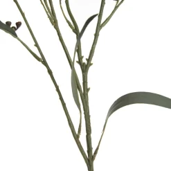 Native Eucalyptus Leaf Spray with Gumnuts New