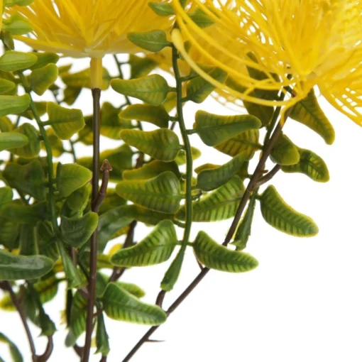 Native Yellow Pincushion Protea Flower Spray Flash Sale