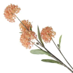 Orange Allium Bulb Spray Cheap