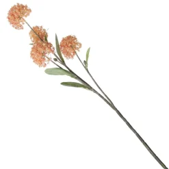 Orange Allium Bulb Spray Cheap
