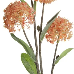 Orange Allium Bulb Spray Cheap