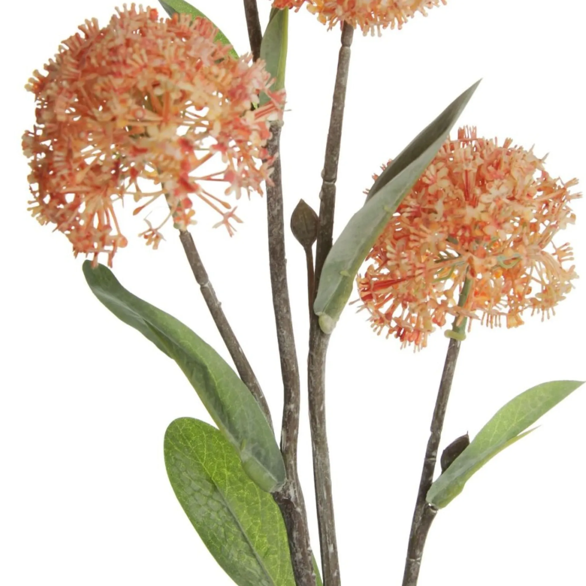 Orange Allium Bulb Spray Cheap