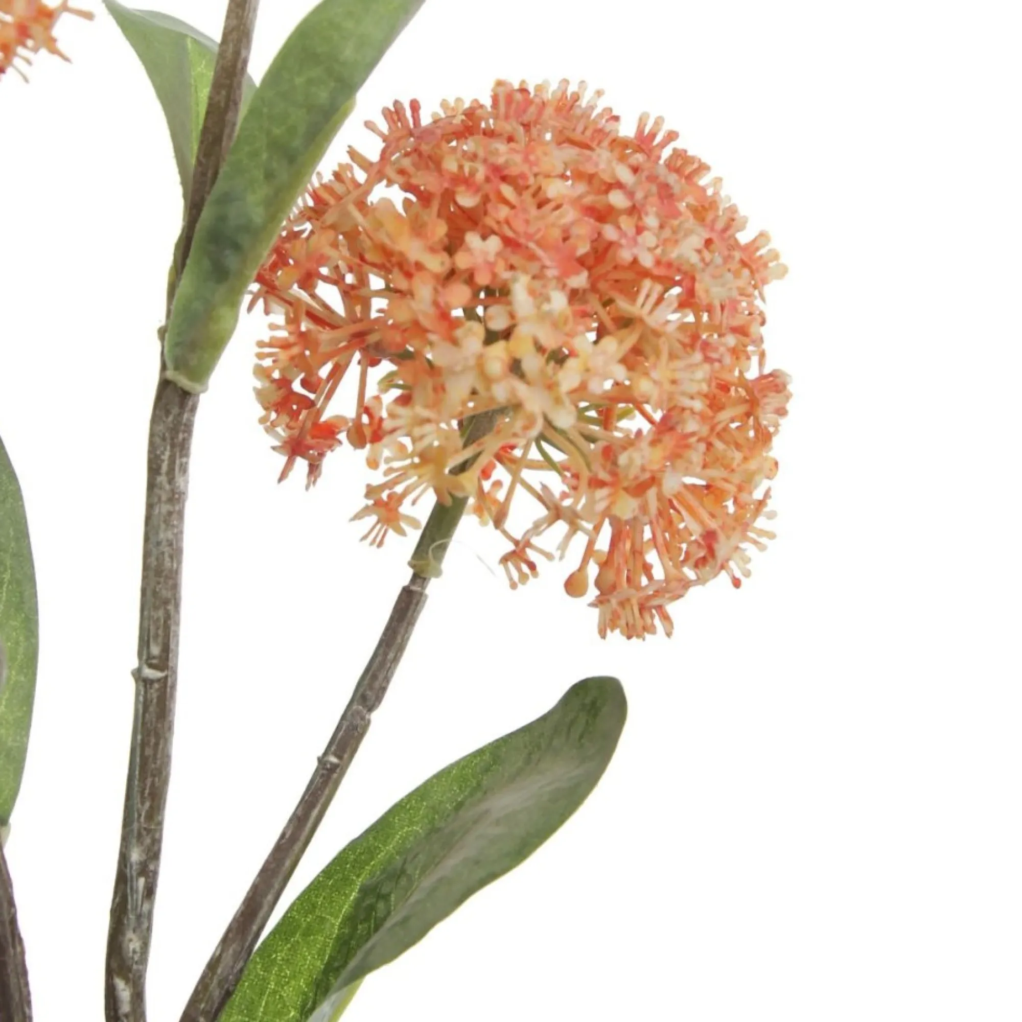 Orange Allium Bulb Spray Cheap